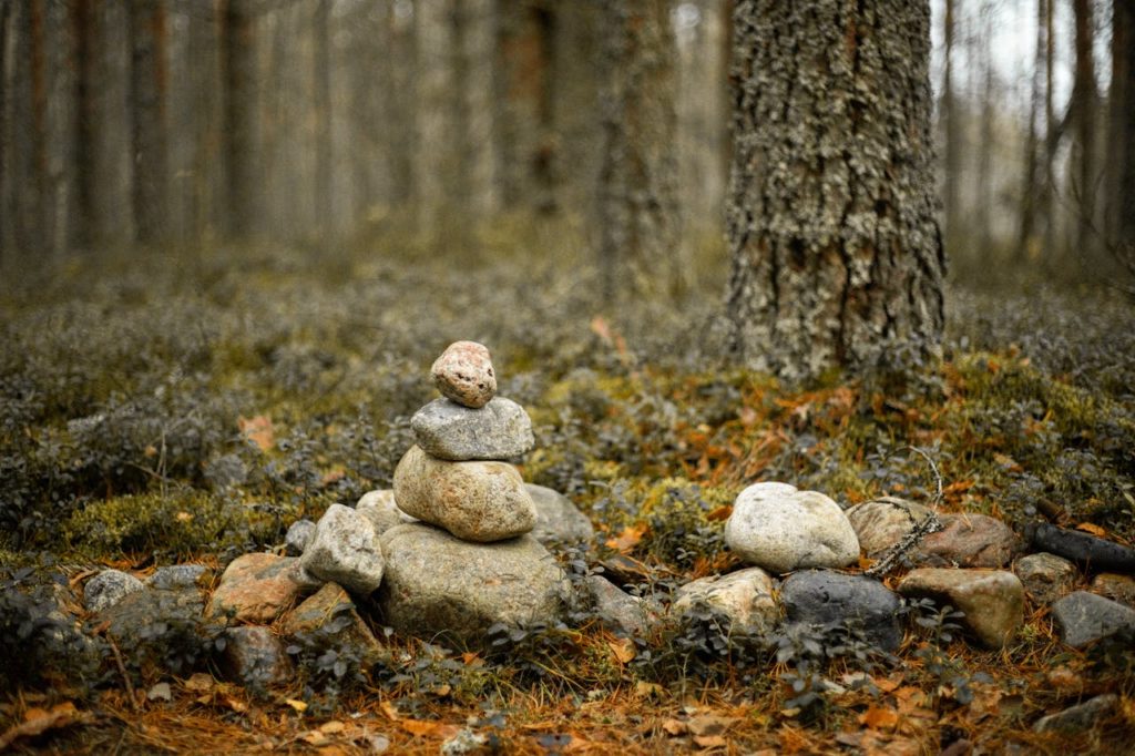 Close-up of a Pile of Stones in a Forest 