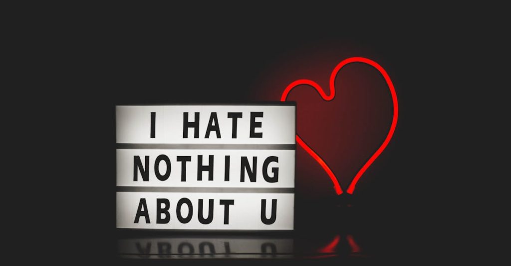 I Hate Nothing About You With Red Heart Light