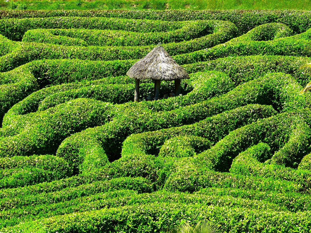 MAZES IN LIFE