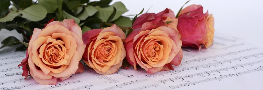roses, flowers, sheet music, flower wallpaper, music, flower background, melody, beautiful flowers, nature, petals, rose petals, bunch of roses, bunch of flowers, bloom, blossom, rose bloom
