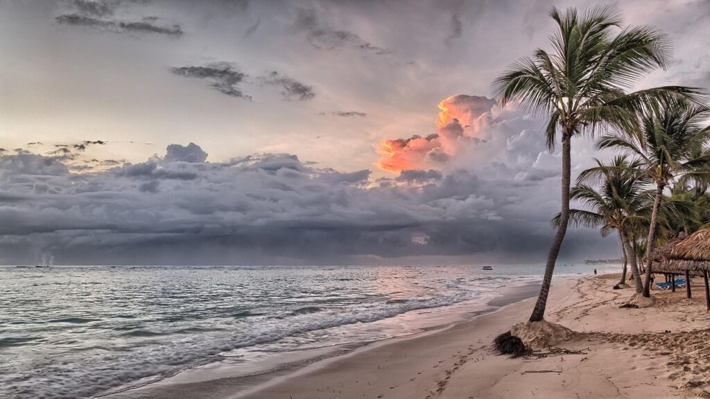 beach, sea, ocean, tropical, tropical island, sky, clouds, horizon, seascape, dominican republic, caribbean, summer, water, palm trees, sand, vacation, travel, nature, coast, tourism, sunrise